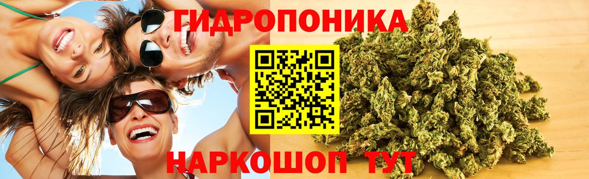 Канабис MAZAR Коммунар