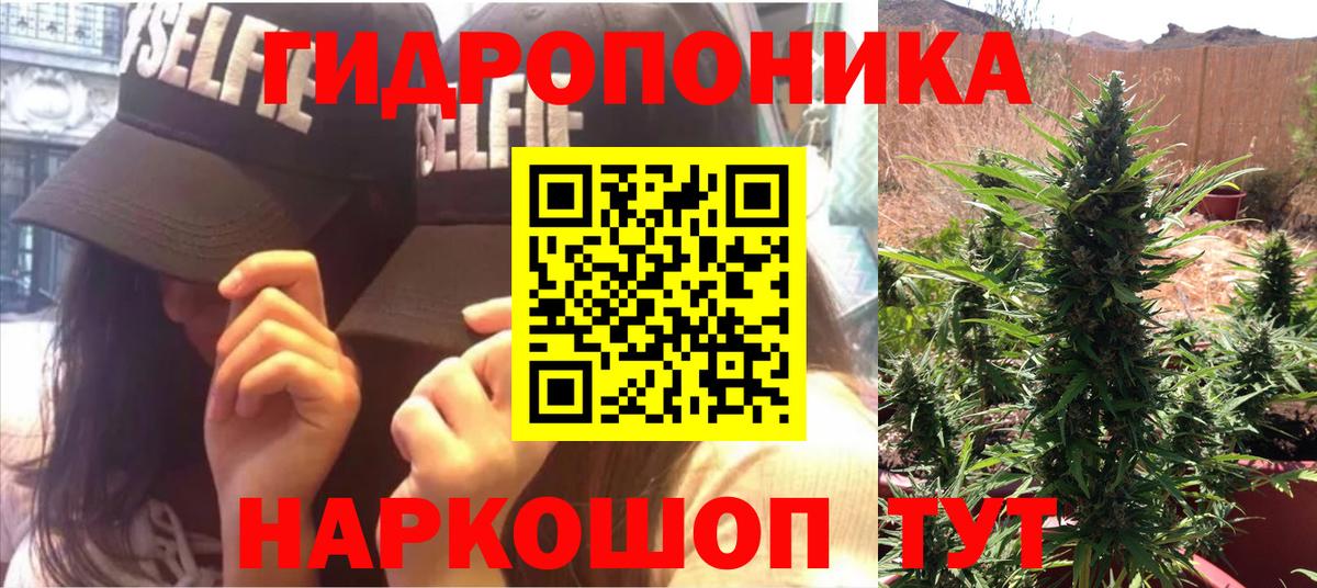 Конопля AK-47  Конопля Ganja  Коммунар  Шишки марихуана планчик  Вход с VPN 